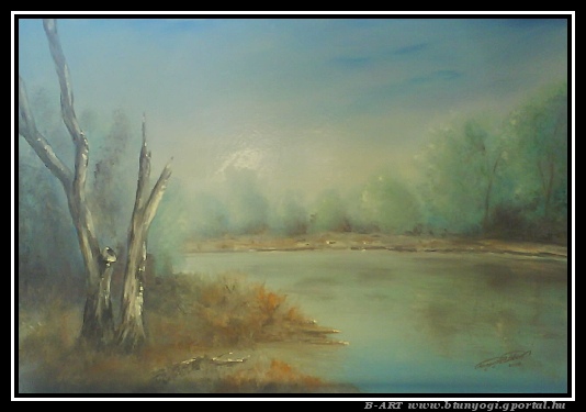 40x60 cm   olaj,farost   -